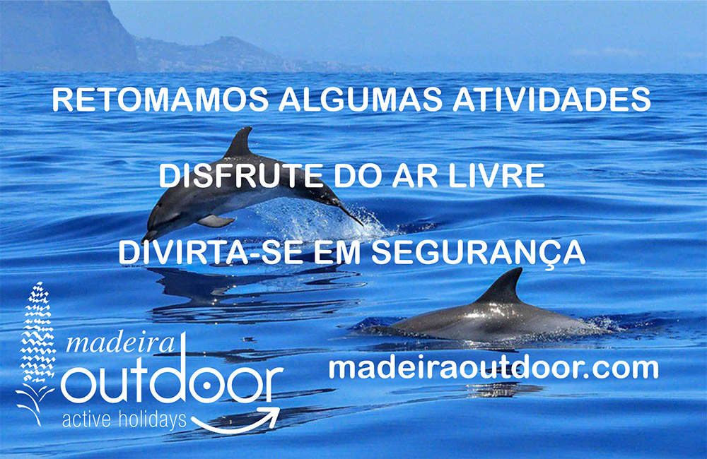 Madeira Online